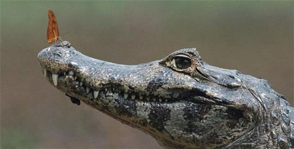 14 апреля 2010 года в фотографиях