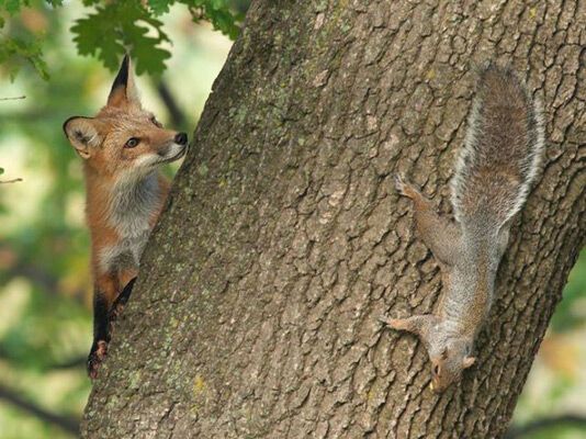 14 апреля 2010 года в фотографиях