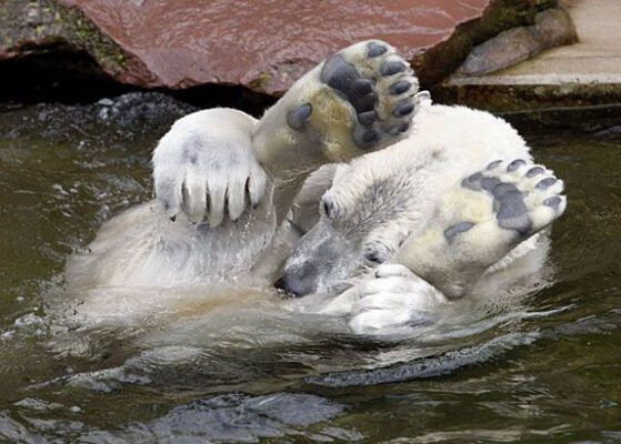 14 апреля 2010 года в фотографиях