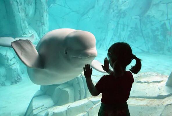 14 апреля 2010 года в фотографиях