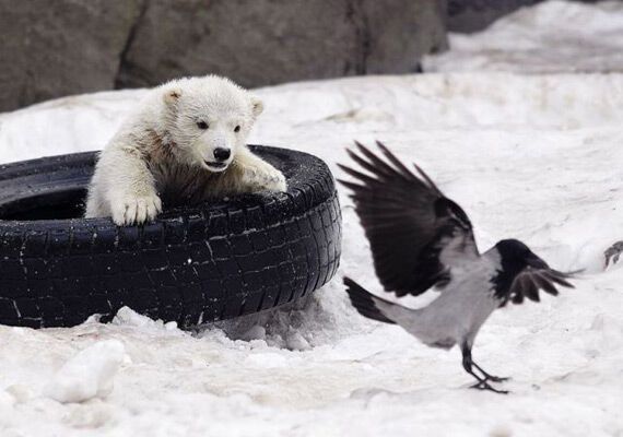 14 апреля 2010 года в фотографиях