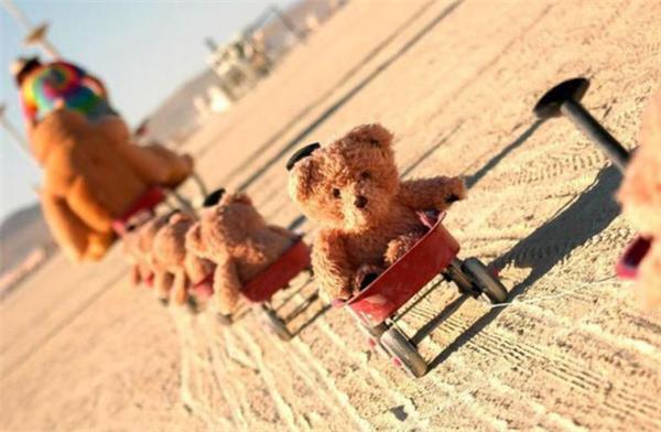 14 апреля 2010 года в фотографиях