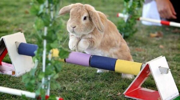 15 апреля 2010 года в фотографиях