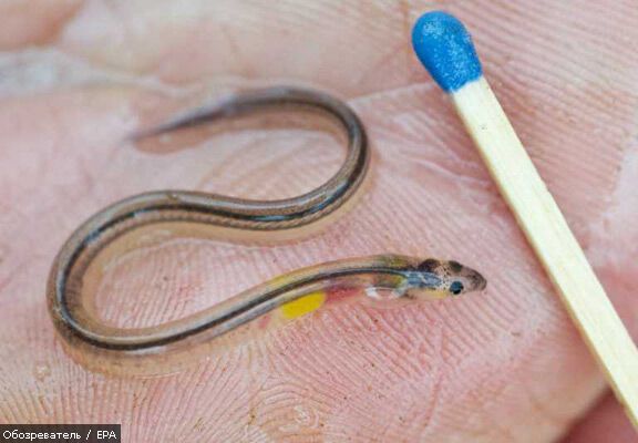 15 апреля 2010 года в фотографиях