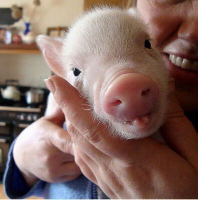 15 апреля 2010 года в фотографиях