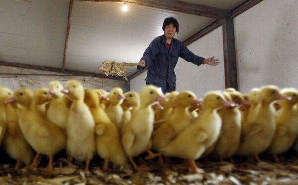 15 апреля 2010 года в фотографиях