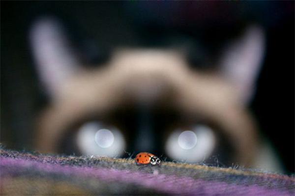 15 апреля 2010 года в фотографиях