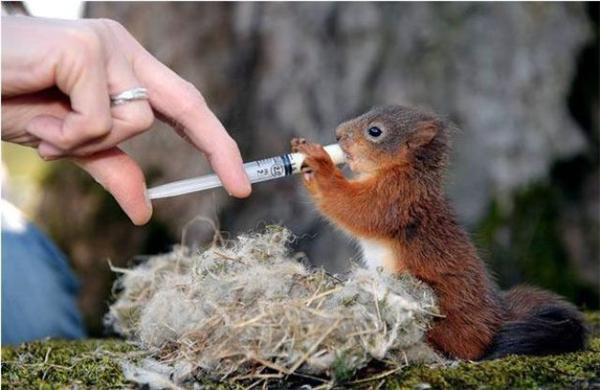 16 апреля 2010 года в фотографиях