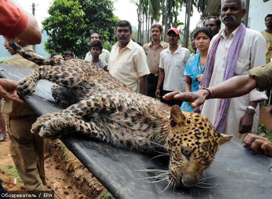 16 апреля 2010 года в фотографиях
