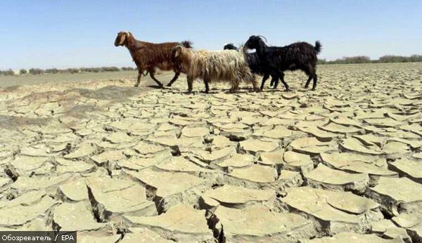 16 апреля 2010 года в фотографиях