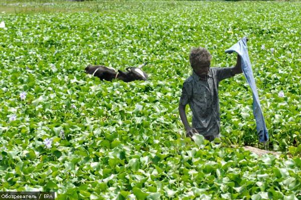 16 апреля 2010 года в фотографиях