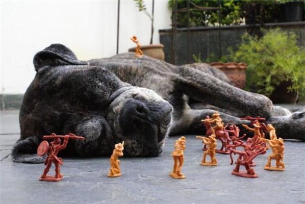 16 апреля 2010 года в фотографиях