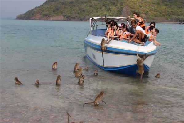 16 апреля 2010 года в фотографиях