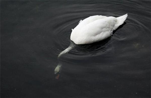 16 апреля 2010 года в фотографиях