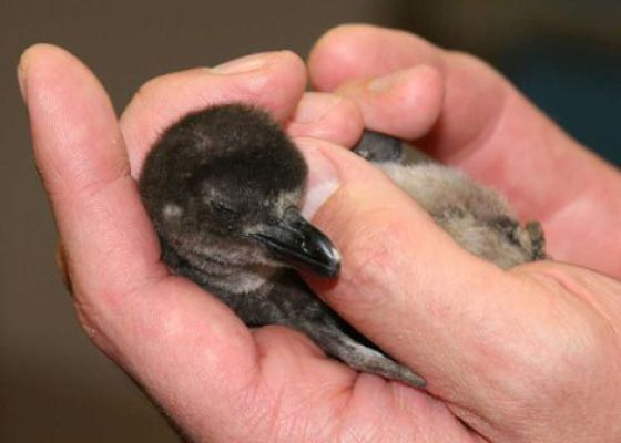 16 апреля 2010 года в фотографиях