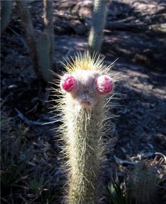 16 апреля 2010 года в фотографиях