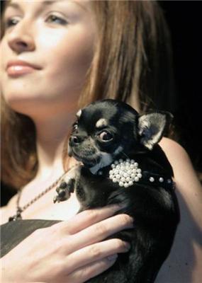 16 апреля 2010 года в фотографиях