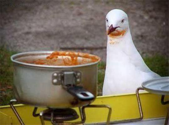 16 апреля 2010 года в фотографиях