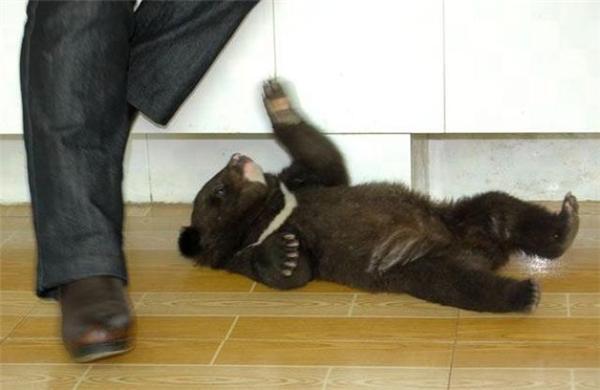 16 апреля 2010 года в фотографиях