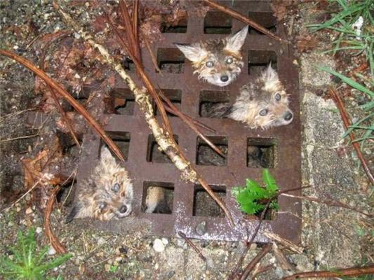 16 апреля 2010 года в фотографиях