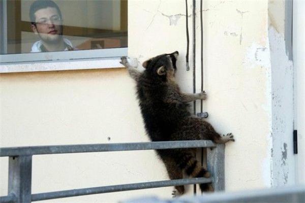 16 апреля 2010 года в фотографиях