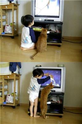 16 апреля 2010 года в фотографиях