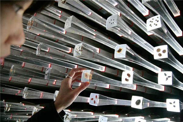 Виставка в Шанхаї 2010