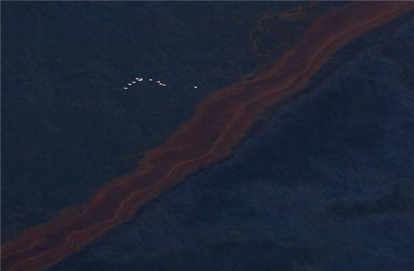 Нефтяное пятно в Мексиканском заливе