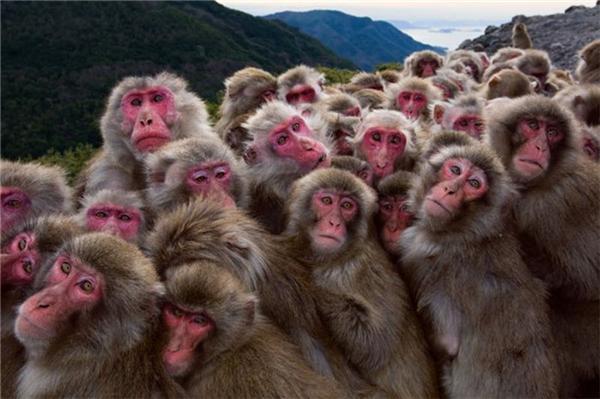 Легендарні фотографії National Geographic