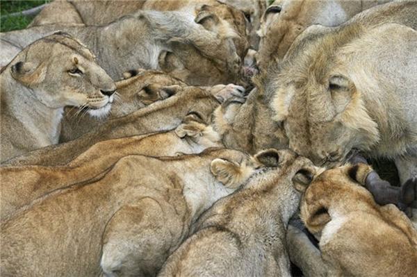 Легендарні фотографії National Geographic