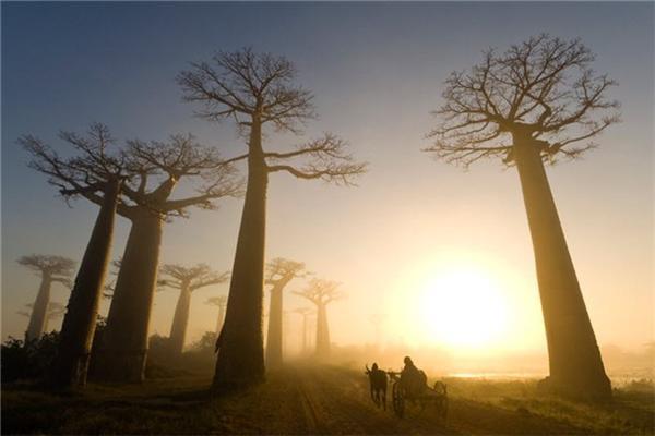 Легендарні фотографії National Geographic