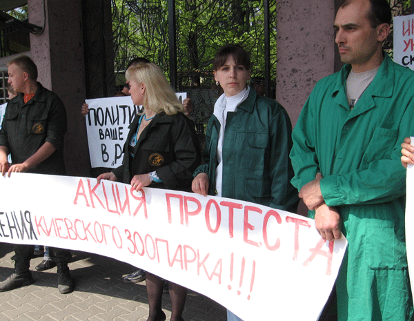 Потасовка в зоопарке: последствия смерти слона Боя (ФОТО)