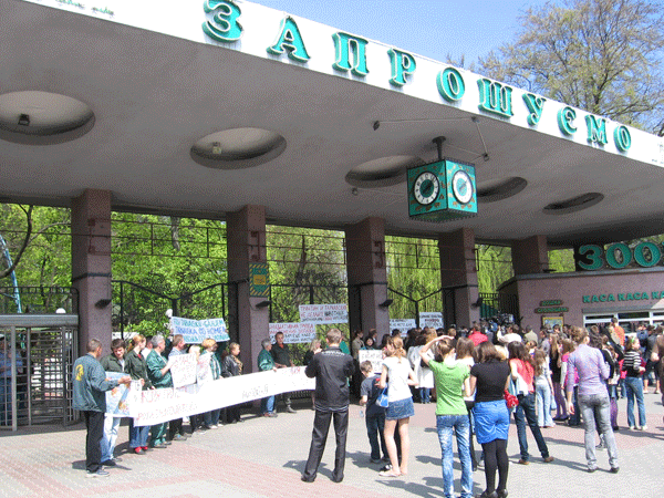 Потасовка в зоопарке: последствия смерти слона Боя (ФОТО)