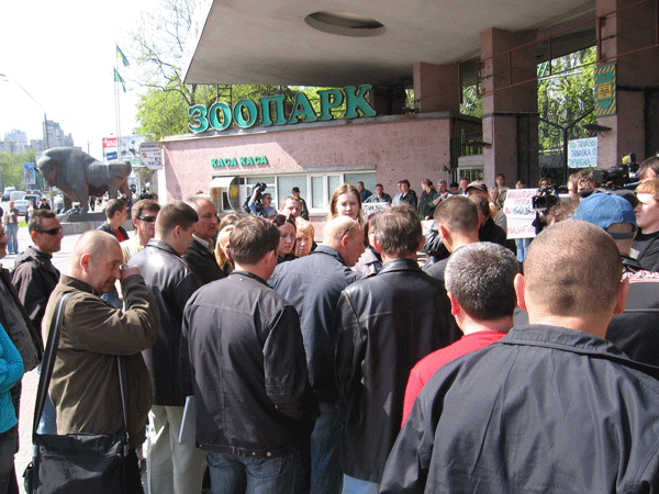 Потасовка в зоопарке: последствия смерти слона Боя (ФОТО)