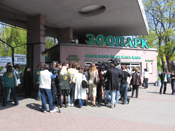 Потасовка в зоопарке: последствия смерти слона Боя (ФОТО)