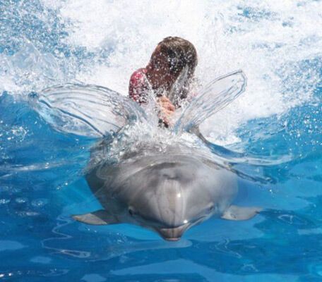 8 Апреля 2010 года в фотографиях