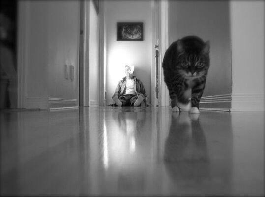 9 апреля 2010 года в фотографиях 