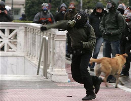 Собака Сосиска на акциях протестов в Афинах