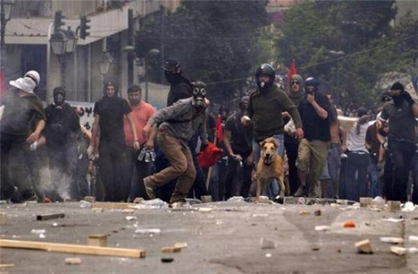 Собака Сосиска на акциях протестов в Афинах