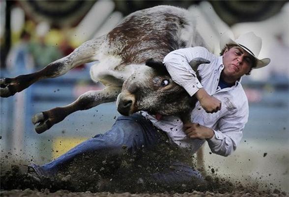 Самые необычные спортивные фотографии (фото) 