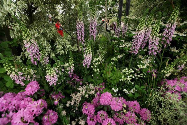 В Челси открылась знаменитая выставка цветочного дизайна