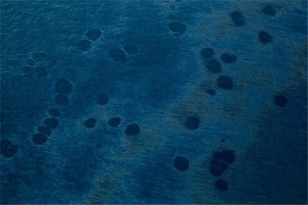 Пятно нефти в Мексиканском заливе за день увеличилось втрое