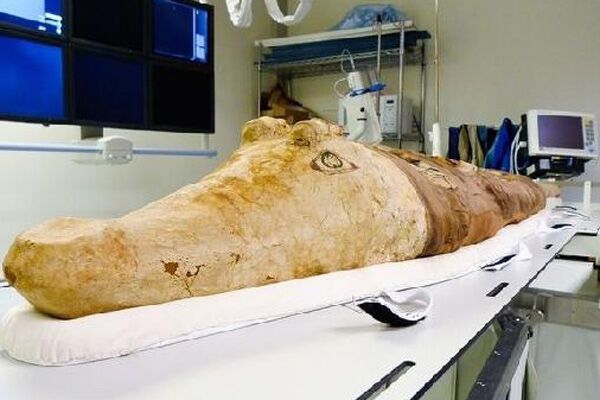 Археологи нашли 3-тысячелетние мумии крокодилов. ФОТО