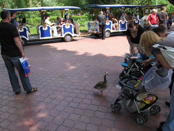 Опустевший зоопарк навеял грусть на посетителей. ФОТО