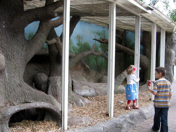 Опустевший зоопарк навеял грусть на посетителей. ФОТО