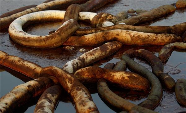 Утечка нефти на дне Мексиканского залива продолжается