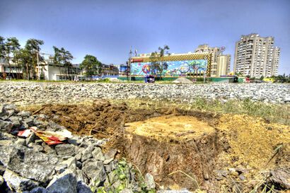 Возле метро "Дарница" уничтожен сквер