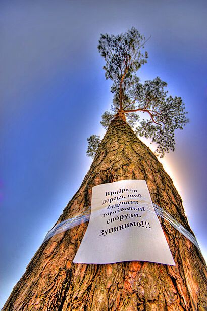 Возле метро "Дарница" уничтожен сквер