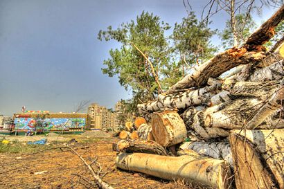 Возле метро "Дарница" уничтожен сквер