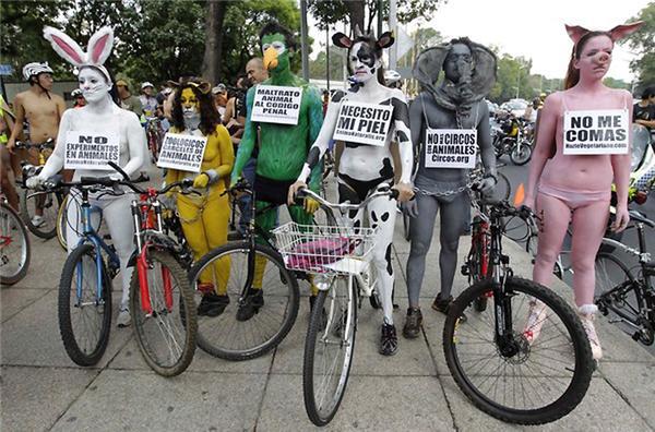 Відбувся незвичайний велозаїзд на знак протесту компанії ВР